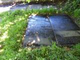 image of grave number 498951